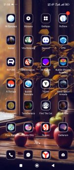 Screenshot_2024-12-26-21-08-20-732_com.miui.home.jpg
