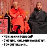 IMG_6027.jpeg
