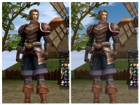 20250127_001403-COLLAGE.jpg