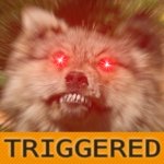 wolf_triggered.jpg