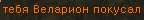 harbor4.png