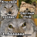 светлый эльф.jpg
