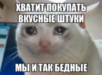 1741275444576.png