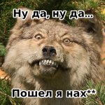 ну да ну да.jpg