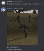13.png