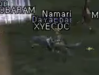 harbor17.png