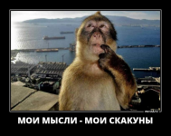 1697176168363.png