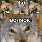 волчок.jpg