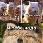 надо.jpg