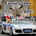 ДПС.jpg
