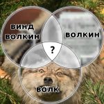 волкин.jpg