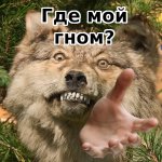 Где_мой_гном.jpg