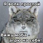 я волк простой.jpg