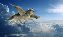 loup-volant-midnightshadow88-deviantart-1200x720-1.jpg