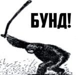ape.jpg