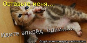 1730916802020.jpeg