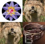 image843.png