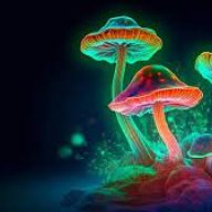 Ppsilocybin