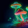 Ppsilocybin