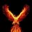 phoenix511